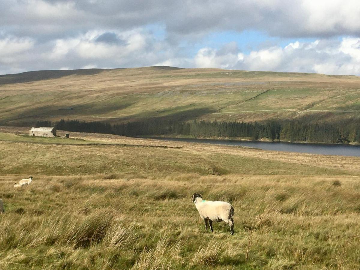 Weardale Cottage Saint Johns Chapel Exterior photo